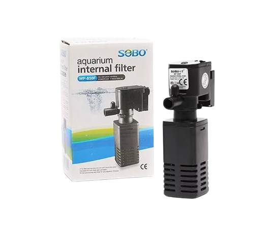 The Fashion Frenzy Elara Tailored Double-Button Blazer- Black